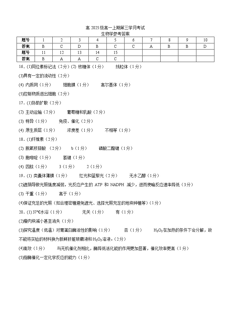 生物答案第1页