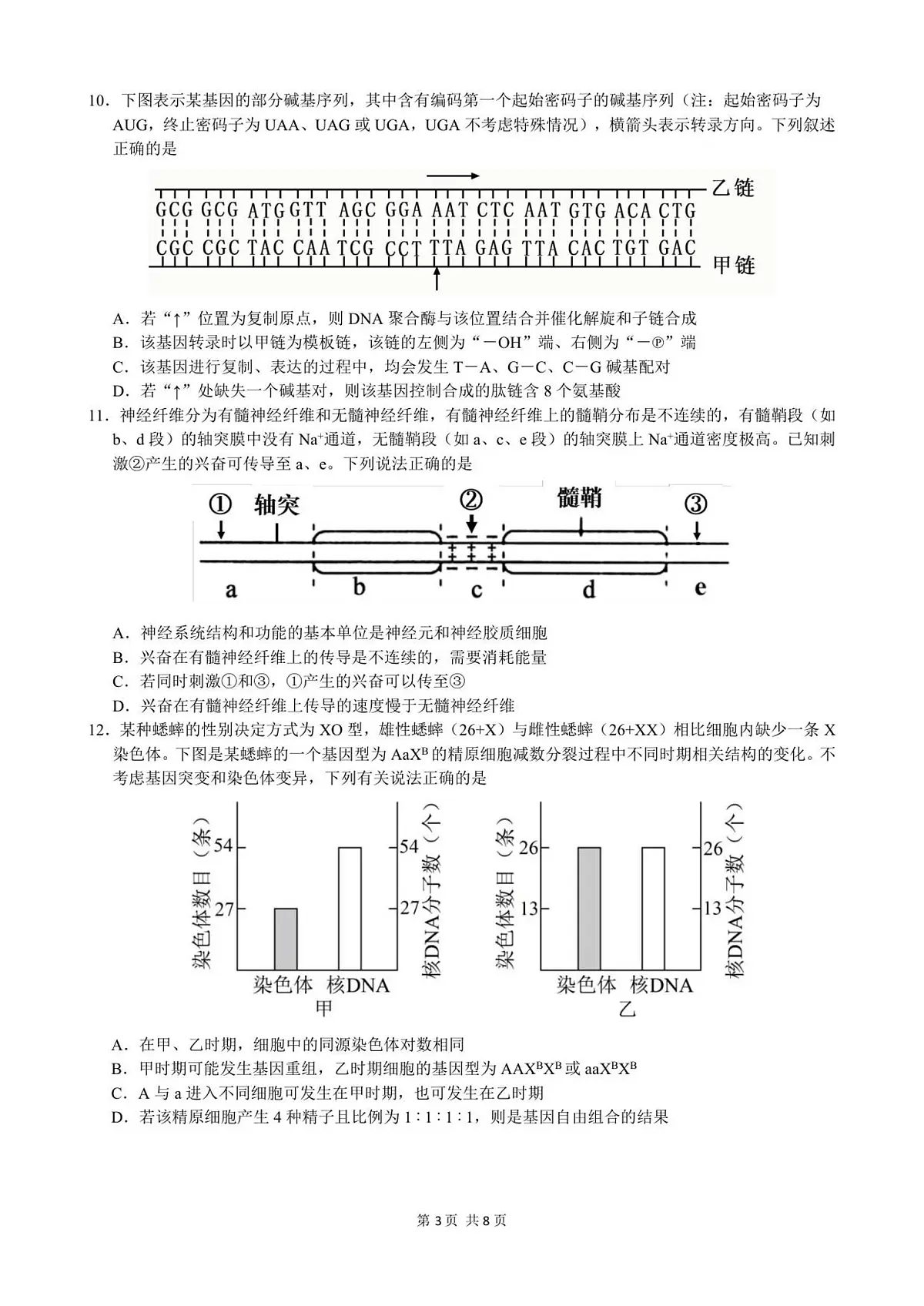 重庆市第一中学校2025-2026学年高二上学期12月期中考试生物试卷(含答案)第3页