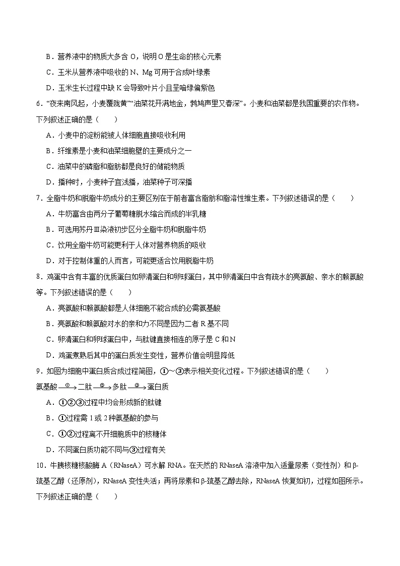 山西省晋中市部分学校2025-2026学年高一上学期11月质量检测生物试卷(Word版附答案)第2页
