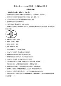 湖北省荆州市荆州中学2025-2026学年高一上学期12月月考生物试题（Word版附解析）