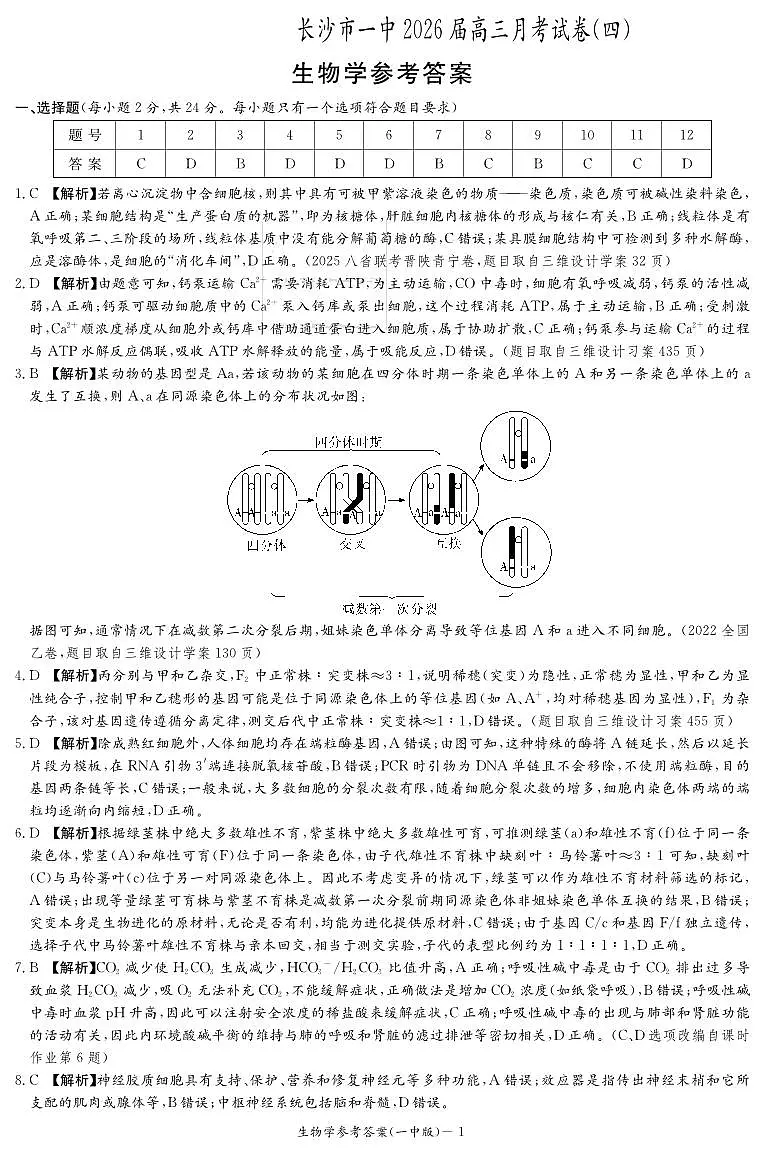 生物答案(26月考四Y)第1页