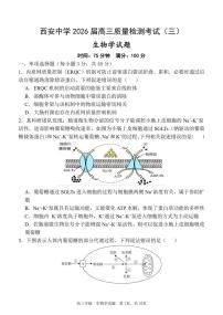 陕西省西安中学2025-2026学年高三上学期质量检测（三）生物试题