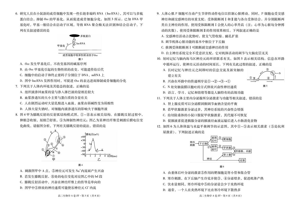 云南省昭通一中教研联盟2025-2026学年高二上学期期中考试生物(A卷)试题第2页