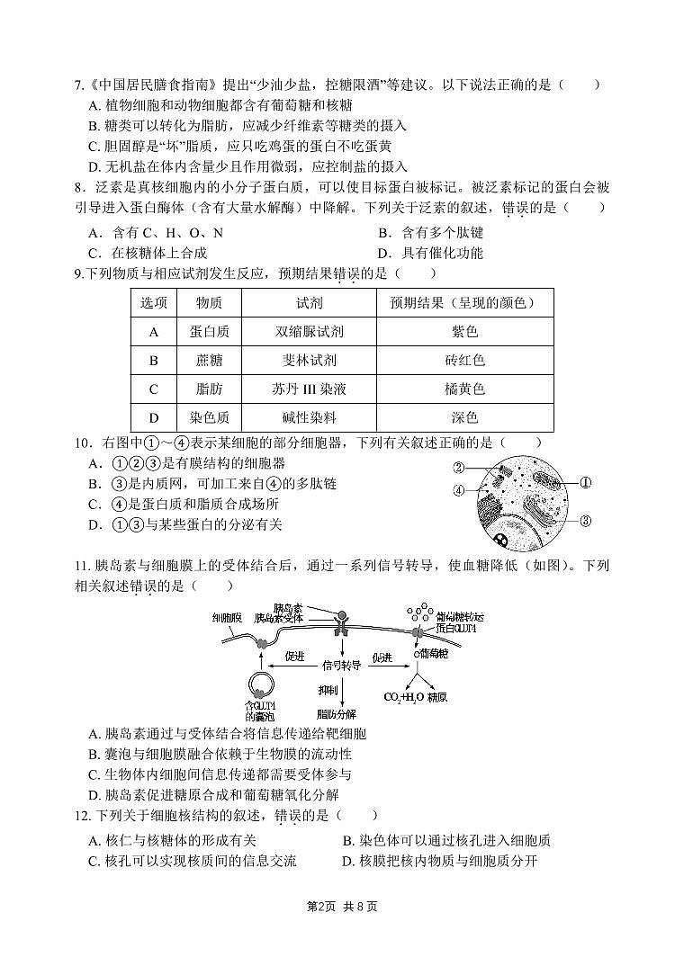 2025北京十二中高一(上)12月月考生物试卷第2页