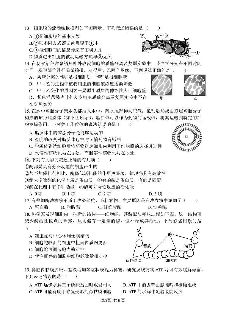 2025北京十二中高一(上)12月月考生物试卷第3页