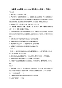 2025-2026学年安徽省A10联盟高二上学期11月期中生物试卷（学生版）