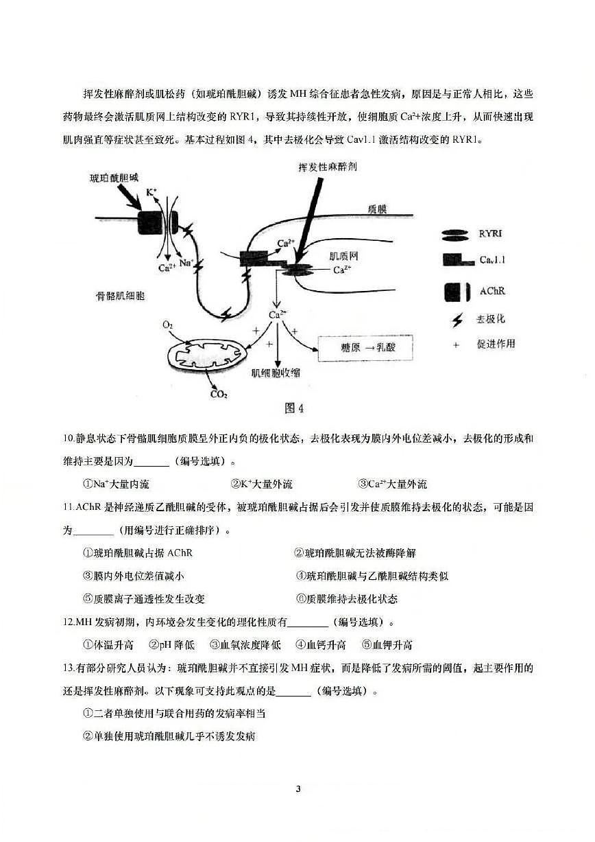 上海市宝山区一模2025-2026学年上学期高三期末等级考质量监测 生物试题+答案第3页