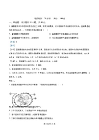 四川省成都市2026届高三生物上学期期中试题含解析