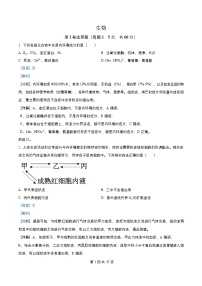 四川省成都市成华区某校2025_2026学年高二生物上学期期中试卷含解析