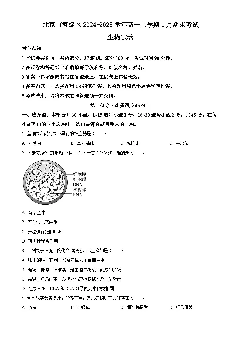 北京市海淀区2024-2025学年高一上学期1月期末考试生物试卷 Word版含答案第1页