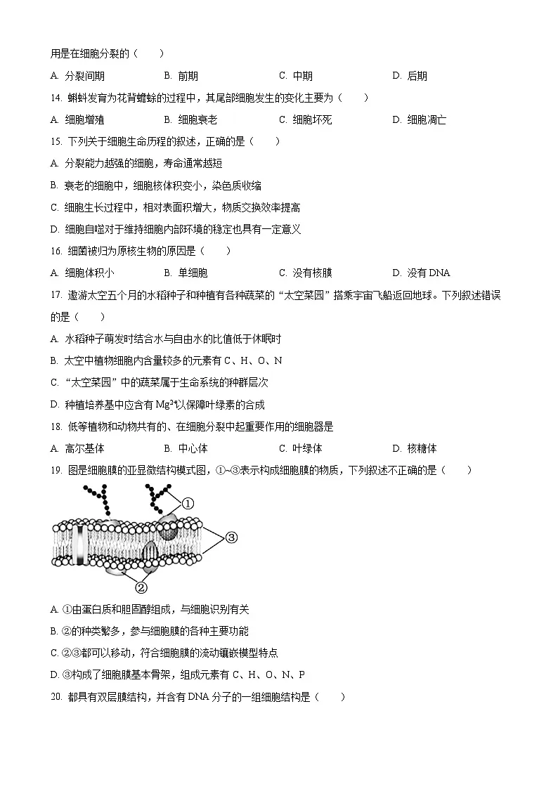 北京市海淀区2024-2025学年高一上学期1月期末考试生物试卷 Word版含答案第3页