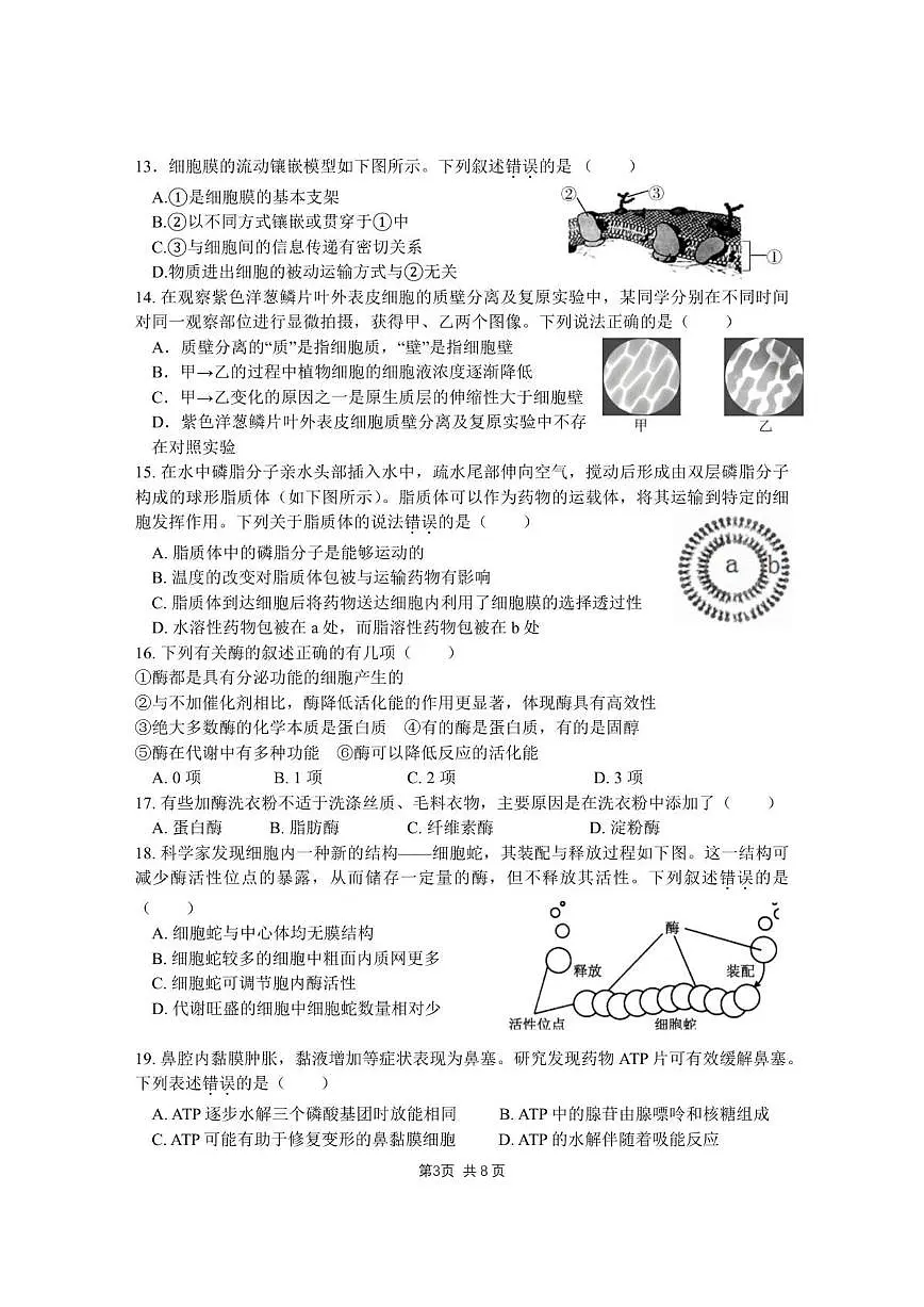 北京市第十二中学2025-2026学年高一上学期12月月考生物试题(PDF版,含答案)第3页