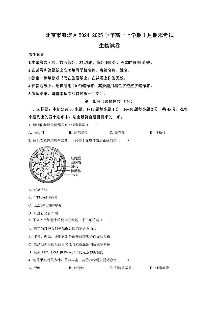 北京市海淀区2024-2025学年高一上学期1月期末考试生物试卷(含答案)第1页