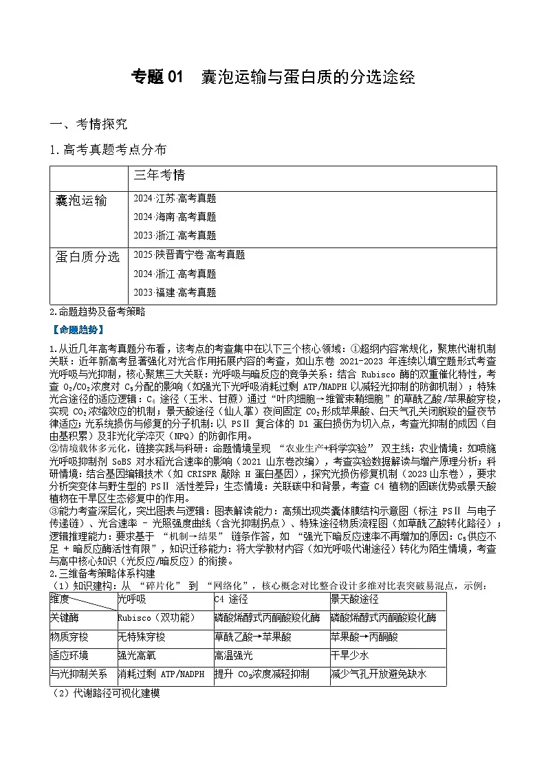 专题01 囊泡运输与蛋白质的分选途经(高效培优讲义)(解析版)第1页