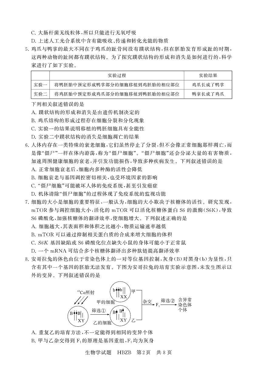 2025年3月高三T8联考生物试卷含答案第2页