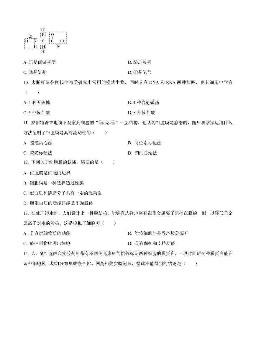 河北省保定市爱和城高级中学2025-2026学年高一上学期11月期中考试生物试卷(含答案)第3页