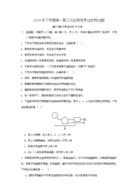 湖南省常德市临澧县第一中学2025-2026学年高一上学期12月月考生物试题