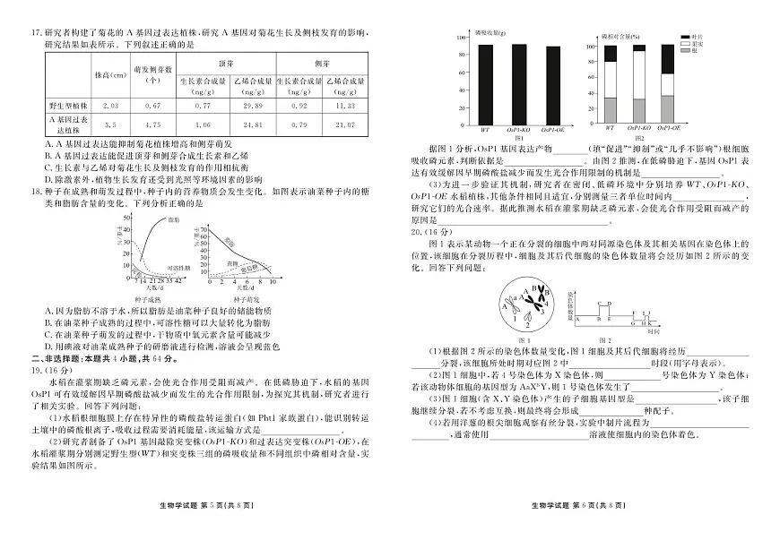 湖北省衡水金卷2026届高三上学期12月联考生物试卷+答案第3页