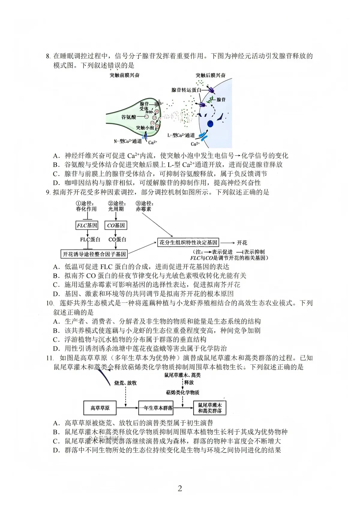 生物试卷(含答案)-江苏G4联考2026届高三年级上学期12月测试(南师附中、天一、海安、海门)第2页