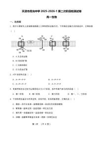 天津市北辰区青光中学2025-2026学年高一上学期第二次月考生物试卷