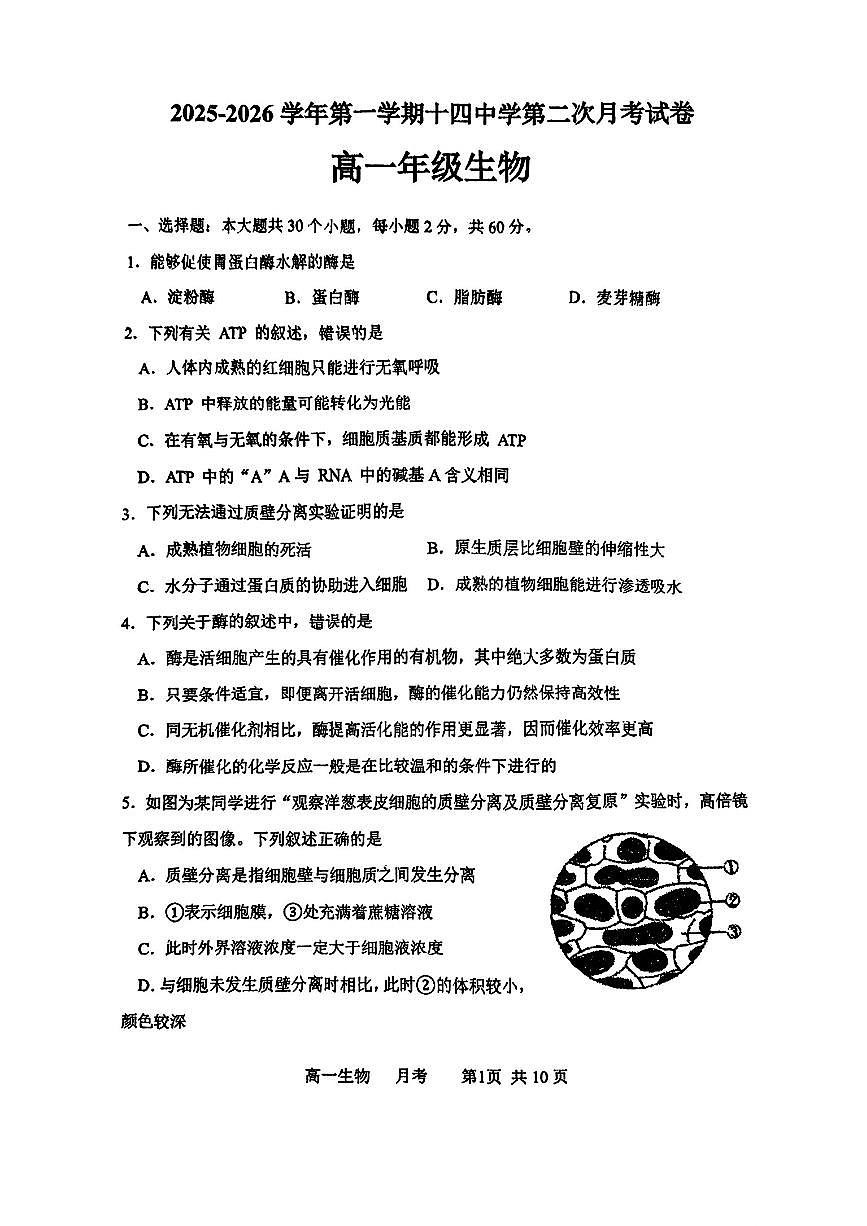 天津市河北区天津市第十四中学2025-2026学年高一上学期12月月考生物试题第1页