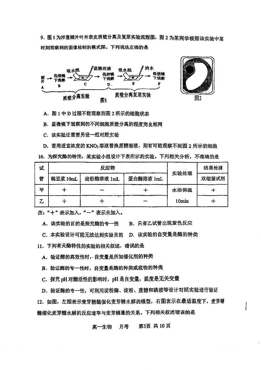 天津市河北区天津市第十四中学2025-2026学年高一上学期12月月考生物试题第3页