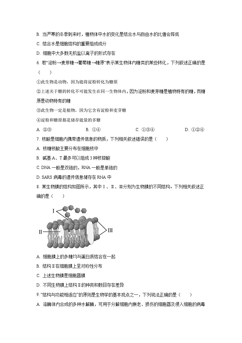 【生物】四川省泸州市龙马潭区2025-2026学年高一上学期11月期中试题(学生版)第2页