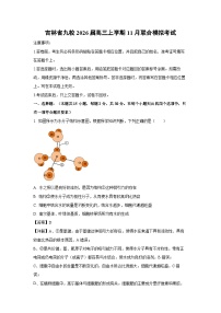 【生物】吉林省九校2026届高三上学期11月联合模拟考试（学生版+解析版）