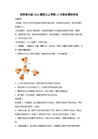 【生物】吉林省九校2026届高三上学期11月联合模拟考试(学生版+解析版)