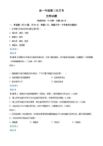 精品解析：河北省衡水市冀州区河北冀州中学2025-2026学年高一上学期12月月考生物试题（解析版）