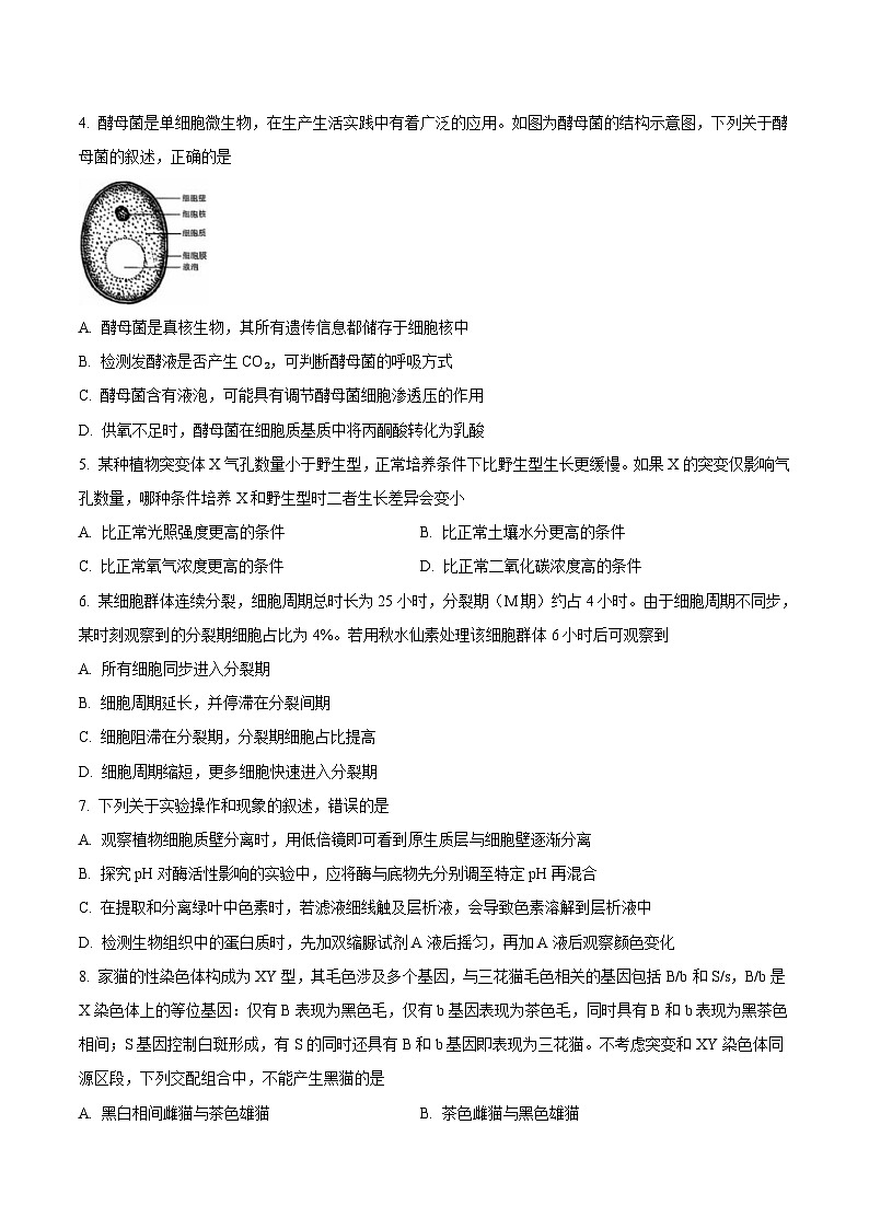 2026东北三省一区点石联考高三上学期12月联合考试生物(B)含解析第2页