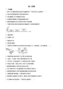 陕西省镇安中学2025-2026学年高二上学期12月月考生物试题含答案含答案解析