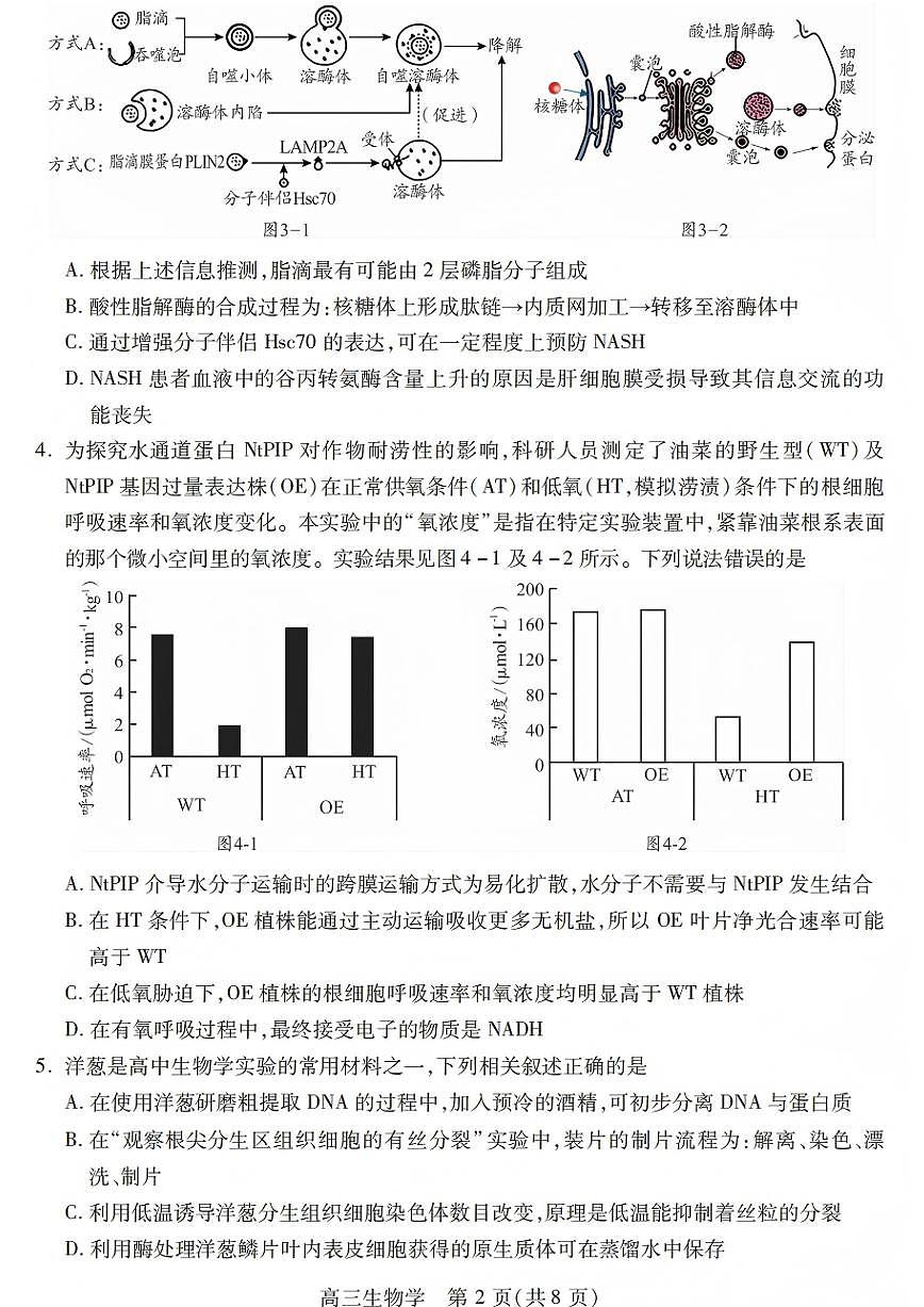 生物试卷第2页