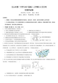 2025-2026学年云南省文山市第一中学高二上学期12月月考生物试题（有答案）