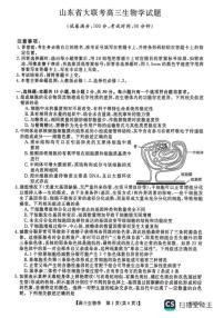 2025-2026学年山东省大联考高三上学期12月月考生物试题（有答案）