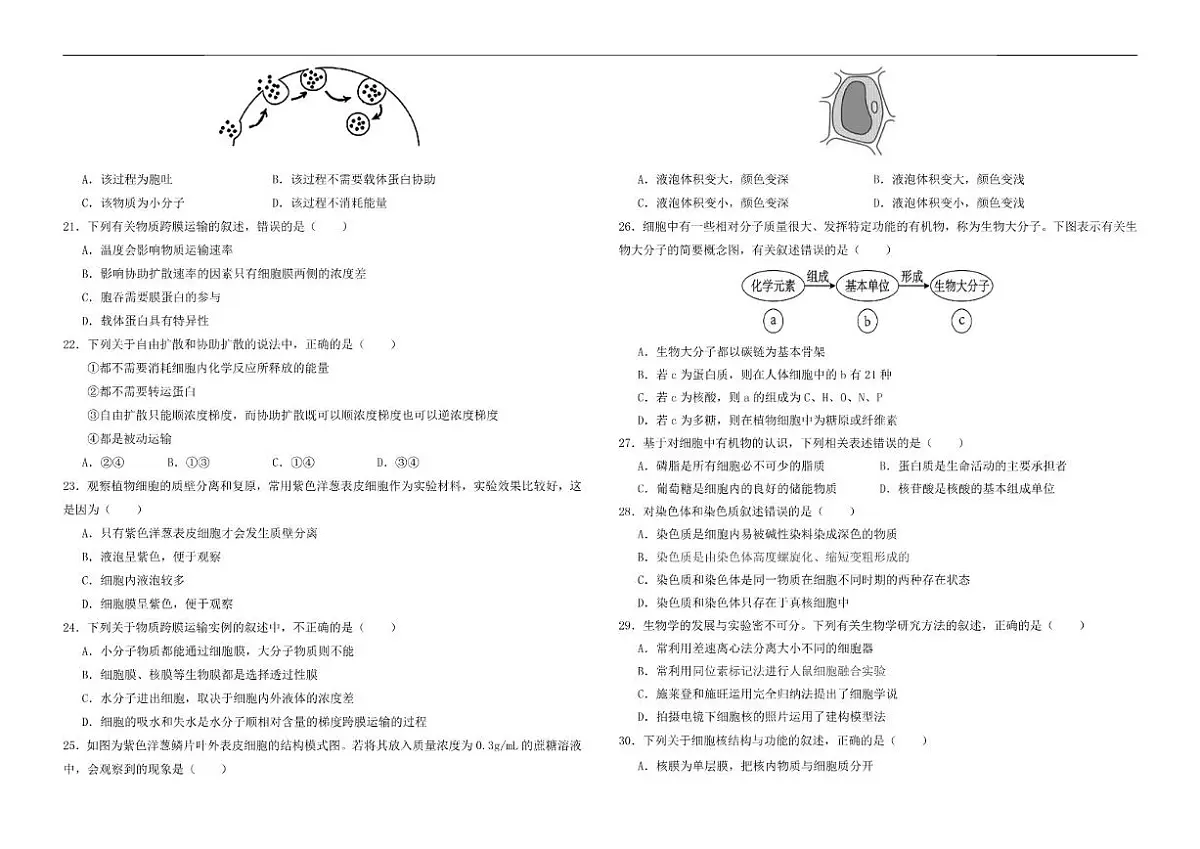 宁夏青吴忠市铜峡市第一中学2025--2026学年高一上学期12月月考生物试卷(有答案)第2页