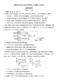 湖北省荆州市荆州中学2025-2026学年高三上学期12月月考生物试卷（含答案）
