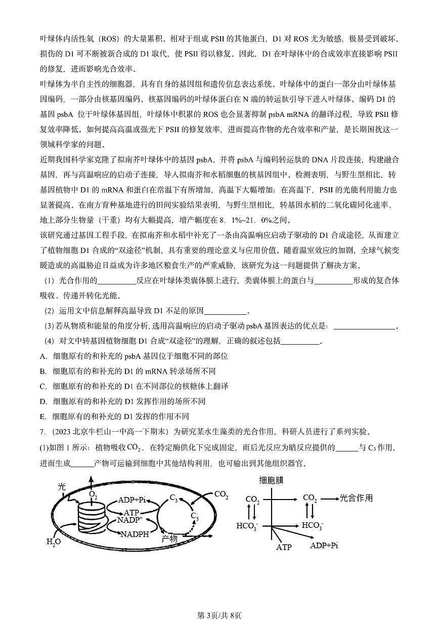 2023-2025北京重点校高一(下)期末生物汇编:光合作用与能量转化第3页