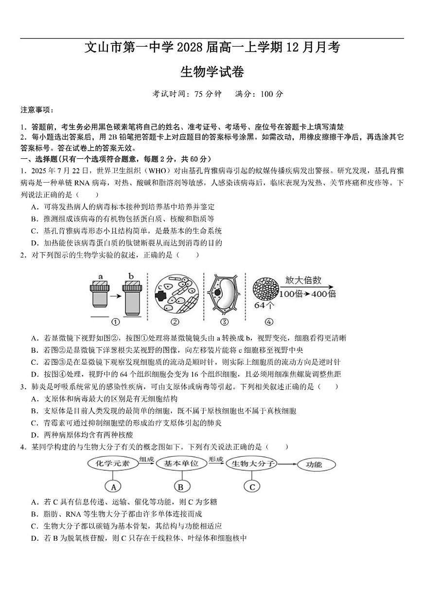 2025-2026学年云南省文山壮族苗族自治州文山市第一中学高一上学期12月月考生物试题(有答案)第1页