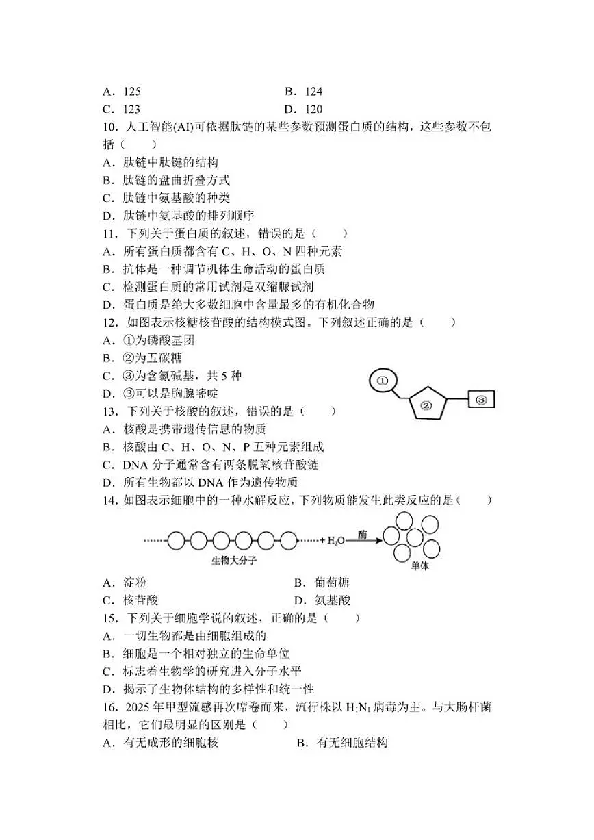 2025-2026学年江苏省盐城市五校联盟高一上学期12月月考生物试题(有答案)第3页