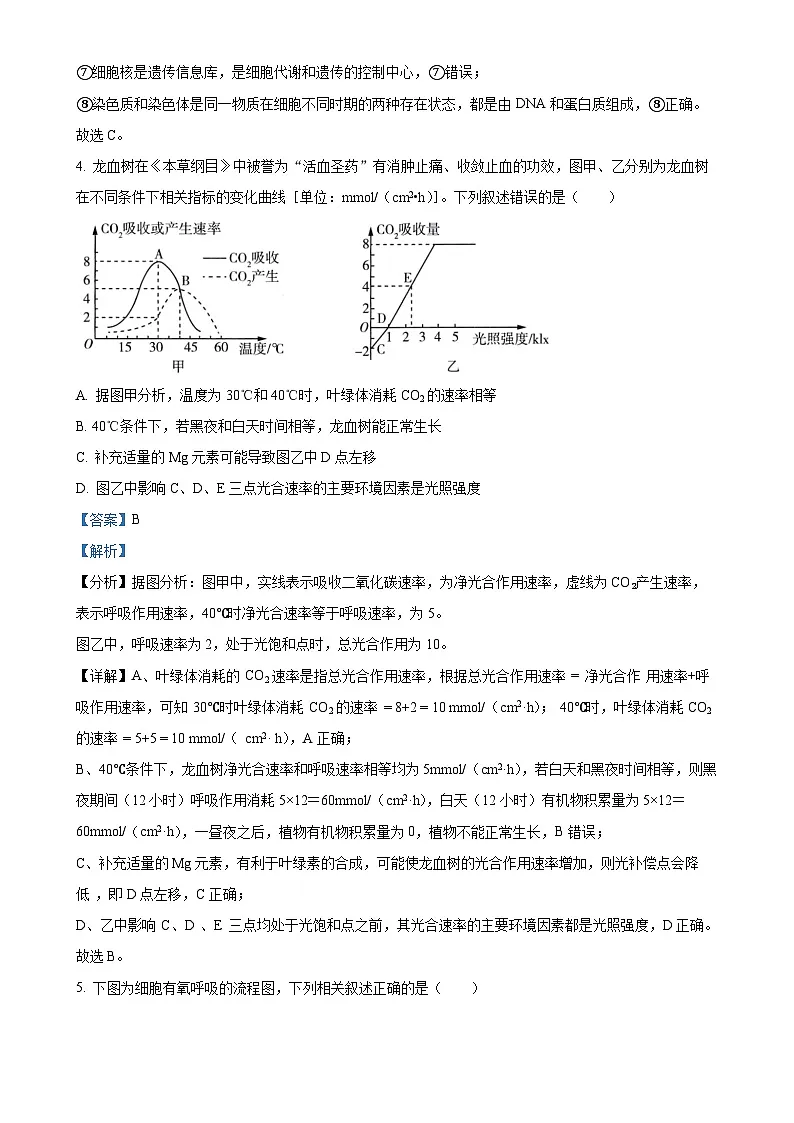 福建省莆田市第四中学高一上学期期末考试生物试题(解析版)-A4第3页