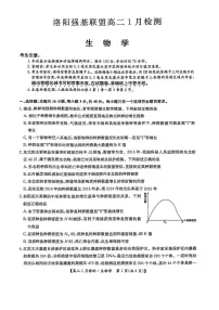 河南省洛阳市强基联盟2025-2026学年高二上学期1月月考生物试题