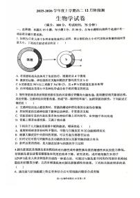 辽宁省大连市第八中学2025-2026学年高二上学期12月月考生物试卷（含答案）