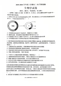 辽宁省大连市第八中学2025-2026学年高二上学期12月月考生物试卷(含答案)