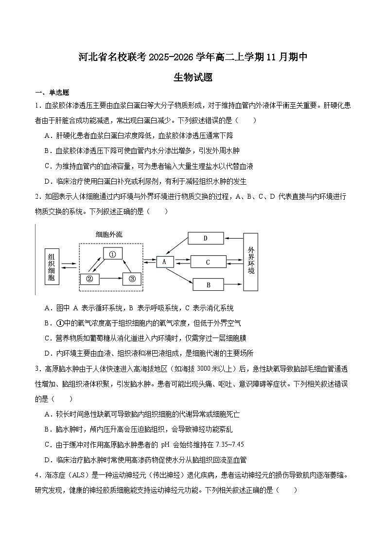 2026河北省名校联考高二上学期期中考试生物含答案第1页