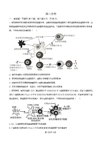 湖北省江夏一中、汉阳一中、洪山高中2025-2026学年高二上学期12月检测生物试卷（原卷版）