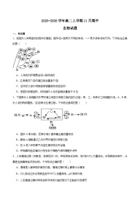 山东省德州市2025-2026学年高二上学期期中考试生物试题（Word版附答案）