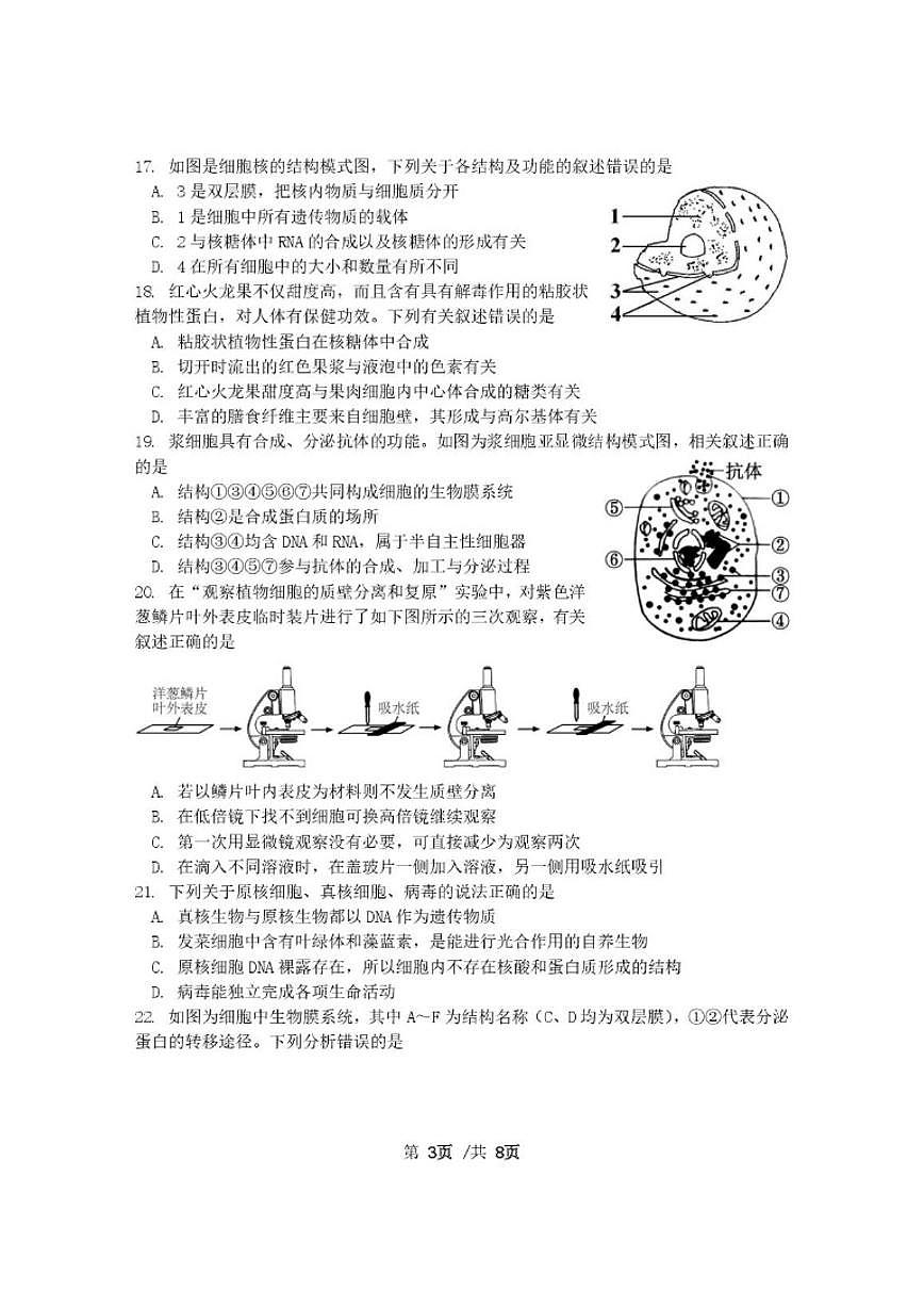 2025-2026学年江苏省盐城市滨海县明达中学高一上学期12月月考生物试题答案)第3页