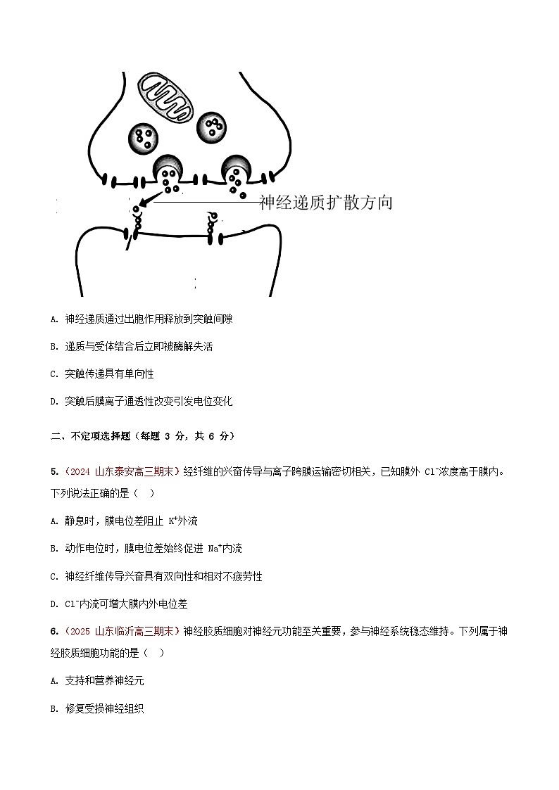 专题16 神经调节(期末备考试题)(原卷版)第3页
