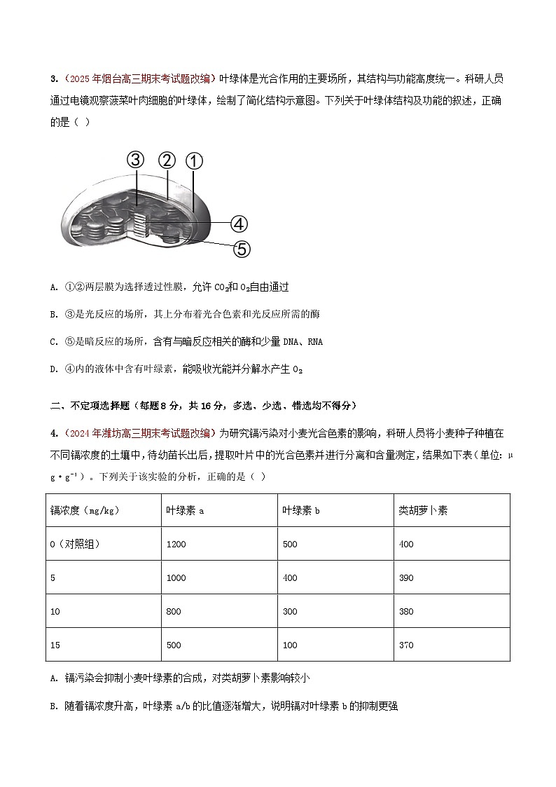 专题05 光合作用(期末备考试题)(原卷版)第2页